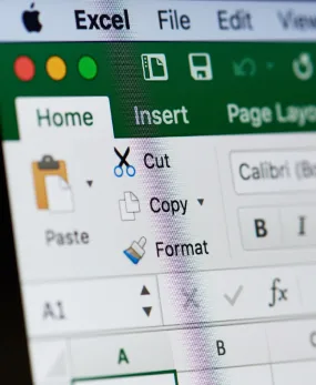 MICROSOFT EXCEL